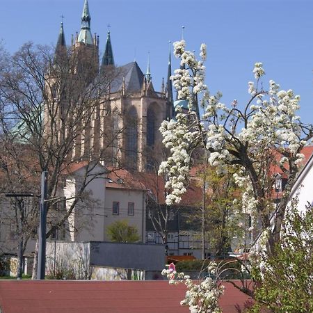 Hotelpension Am Dom Erfurt Dış mekan fotoğraf