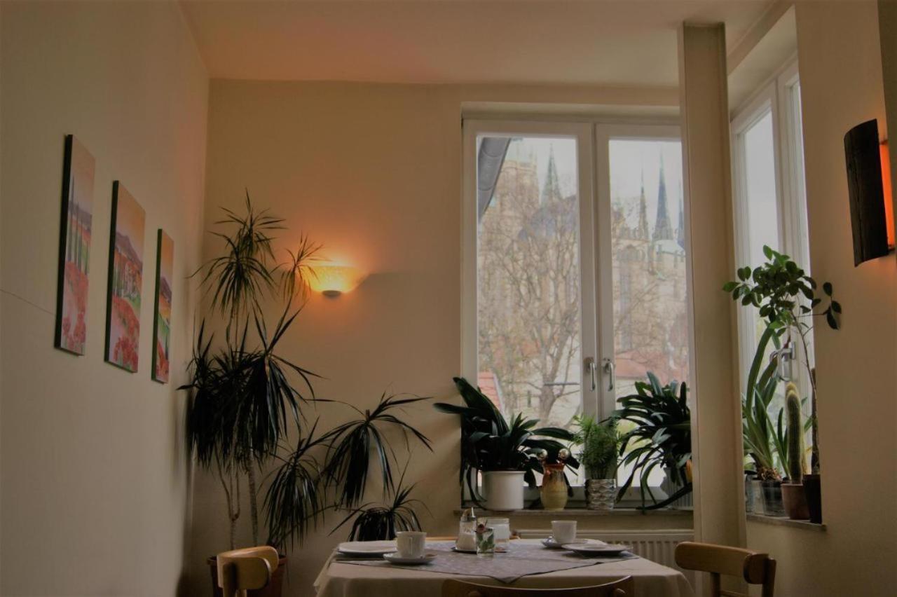 Hotelpension Am Dom Erfurt Dış mekan fotoğraf