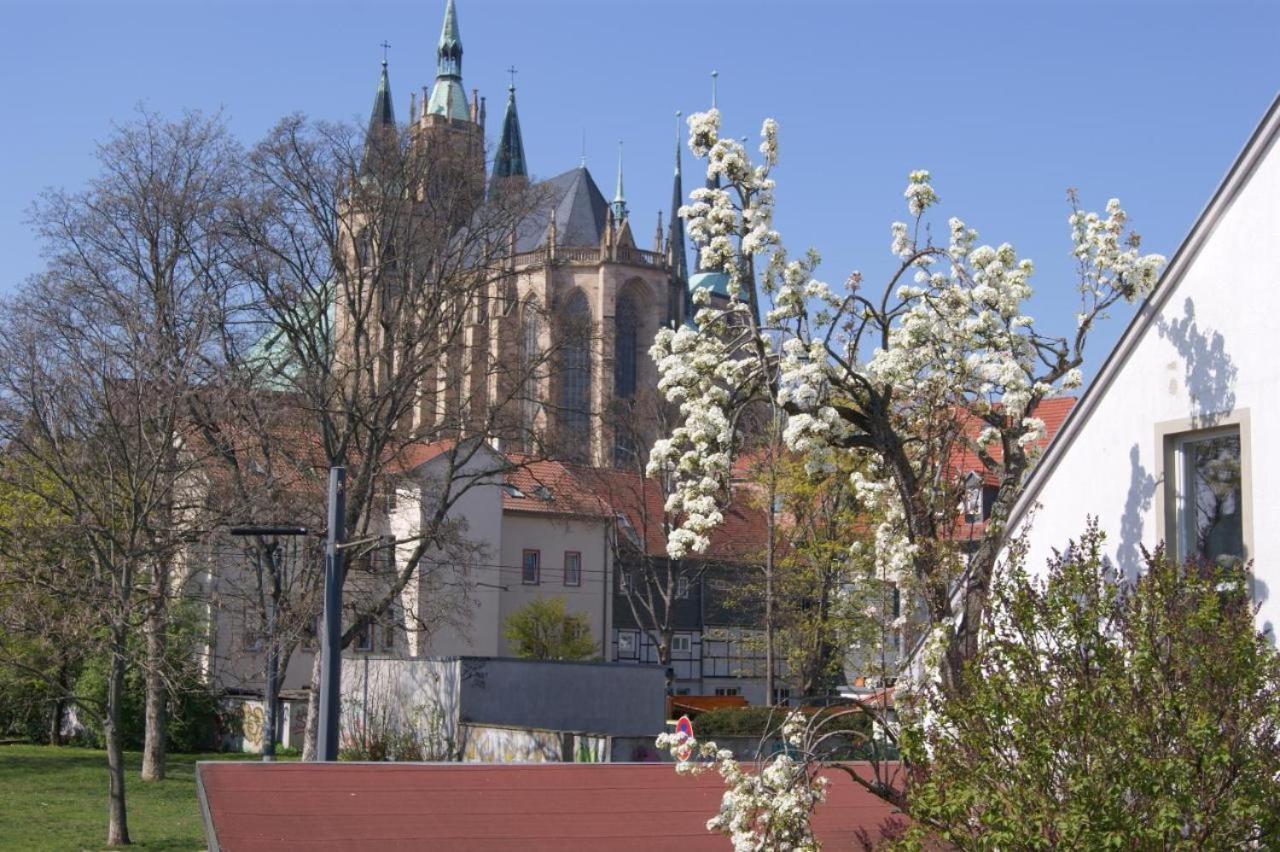 Hotelpension Am Dom Erfurt Dış mekan fotoğraf
